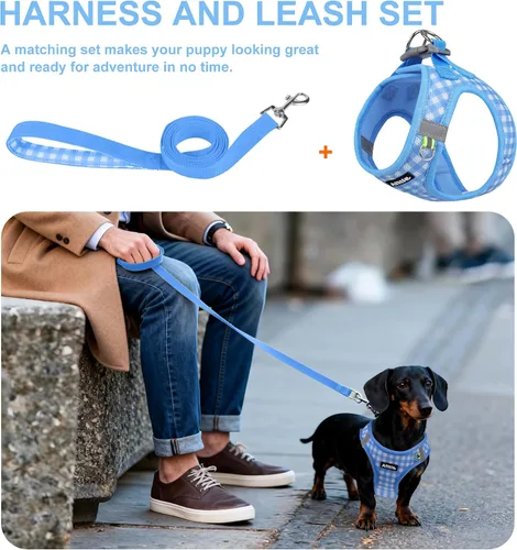 Miniatura 4 de AIITLE Juego de arnés y correa para perro, sin tirones, arnés de malla suave reflectante para cachorros y gatos extra pequeños, arnés de chaleco a