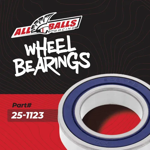 Miniatura 2 de All Balls Kit de rodamientos de rueda [Plata Media] (25-1123)