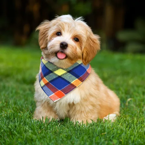 Miniatura 4 de Honoson 6 pañuelos triangulares para perro, bufanda para perro, bufanda con estampado a cuadros, baberos ajustables, lavables, juego de bandana
