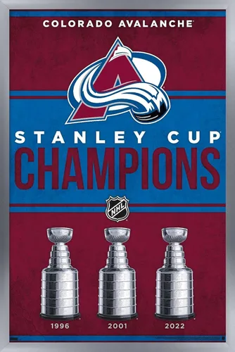 Trends International NHL Colorado Avalanche - Póster de pared de Champions 23, 22.4 pulgadas de largo x 14.7 pulgadas, versión enmarcada en plata