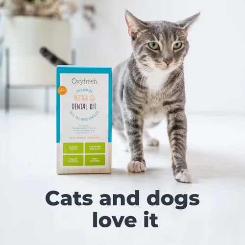 Miniatura 7 de Oxyfresh Kit dental prémium para mascotas para perros y gatos – Ambientador de aliento y solución de limpieza dental más fácil para aliento fresco