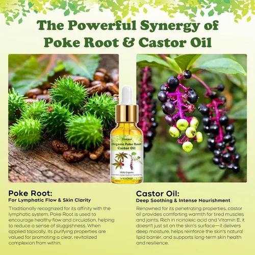 Miniatura 7 de Aceite orgánico de raíz de poke y ricino – Fragancia de menta – Apoya quistes, forúnculos, fibromas, ganglios linfáticos inflamados y salud