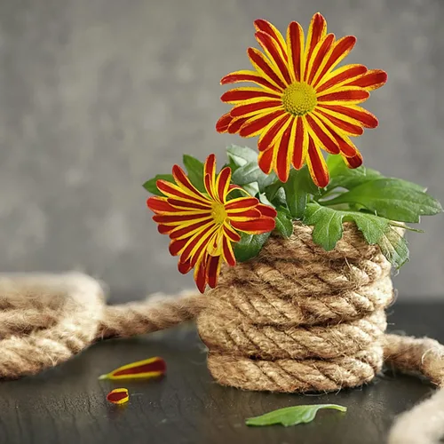 Miniatura 6 de PINGEUI Cuerda de yute de 164 pies de grosor de 0.394 in, cuerda de yute natural, cuerda de cáñamo para jardinería, agrupación, decoración del hogar
