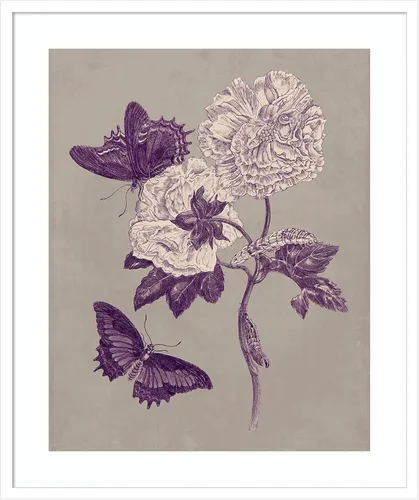 Miniatura 17 de Amanti Art Lienzo decorativo para pared, 24 x 20 pulgadas, estudio de la naturaleza en ciruela y gris pardo IV por Maria Merian, arte de pared