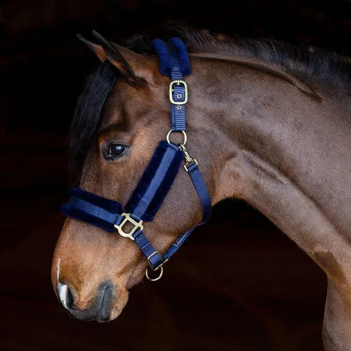 Miniatura 3 de Dura-Tech Halter de nailon con forro polar para caballos, máxima comodidad para caballos, diseño antifrotamiento, alta ajustabilidad, herrajes