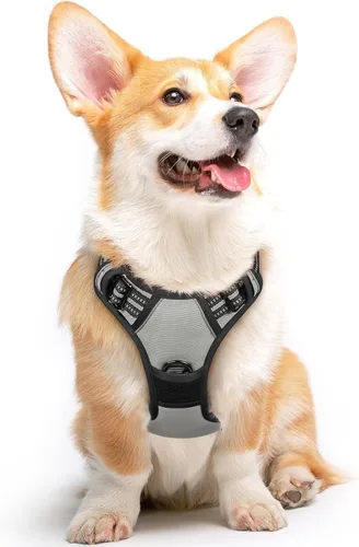Miniatura 33 de Eagloo Arnés para perro pequeño, sin tirones, chaleco de servicio con tiras reflectantes y asa de control, ajustable y cómodo para caminar, arnés