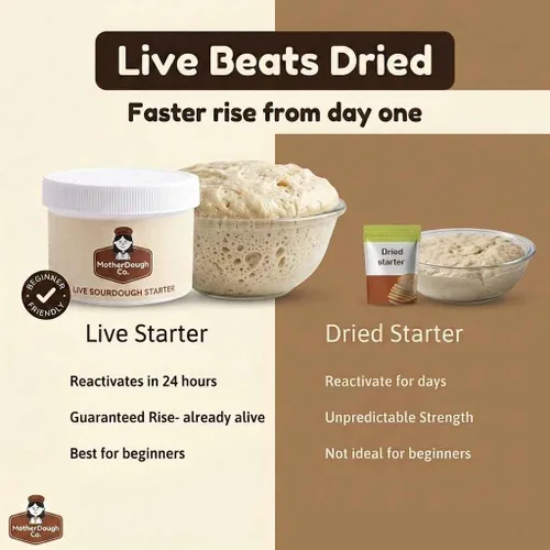 Miniatura 6 de Motherdough Co. - Iniciador de masa madre - Cultivo iniciador de masa agria antigua y madura viva, fresca y activa, el mejor iniciador de pan
