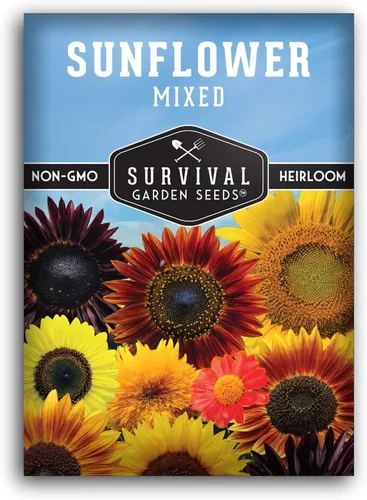 Semillas de girasol mixtas para plantar | Mezcla colorida de variedades tradicionales para flores cortadas y polinizadores - Heirloom GMO - Semillas