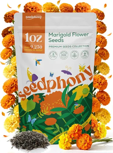 Miniatura 12 de Seedphony Paquete de semillas de equinácea de 1 onza – 9,300 semillas de equinácea sin OMG para plantar, flores perennes en paquete de semillas