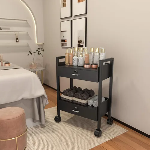 Miniatura 4 de Carrito de gabinete de belleza para salón, carrito rodante de almacenamiento de 2 niveles, organizador de cajones con ruedas, herramientas
