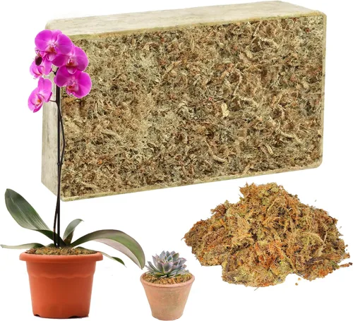 Hourleey Musgo de esfagnum para plantas, maceta de musgo seco de fibra larga natural de alta calidad, musgo de turba esfagnum a granel para