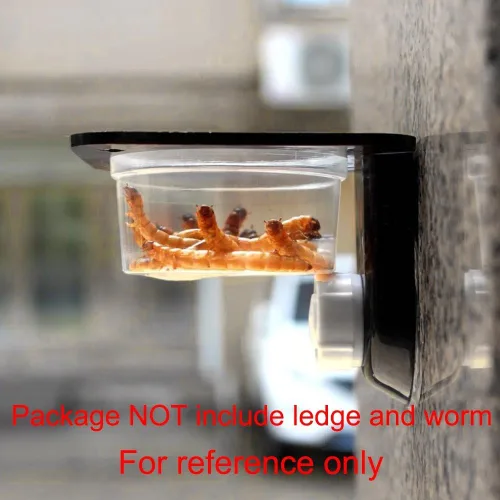Miniatura 4 de SLSON Paquete de 100 tazas de comida y agua Gecko - Vasos de repisa para reptiles, gusanos, alimentador de gusanos de harina, para lagarto