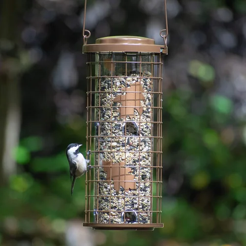 Miniatura 2 de Perky-Pet Comedero para pájaros silvestres con 8 puertos de alimentación, capacidad de semillas de 3 libras, acabado de cobre, alimentador a prueba