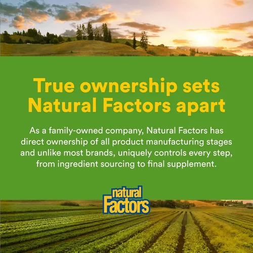 Miniatura 7 de Natural Factors Jengibre masticable 500 mg, 90
