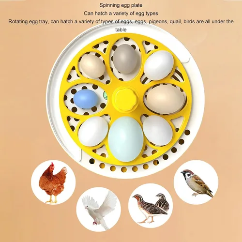 Miniatura 5 de Yosoo Incubadora de pollo, mini incubadora de huevos para incubar 4 huevos, criador de huevos portátil para pollo, pato, ganso, con ventana