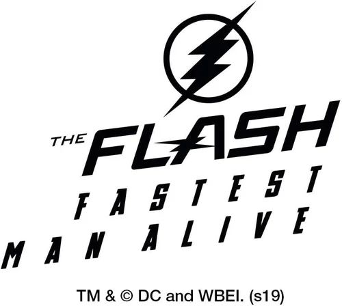 Miniatura 4 de The Flash TV Series Star Labs Logo Eraser Set de 2