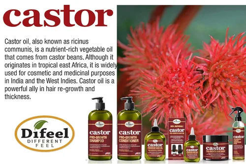 Miniatura 4 de Difeel Acondicionador Castor Pro-Growth 12 oz.