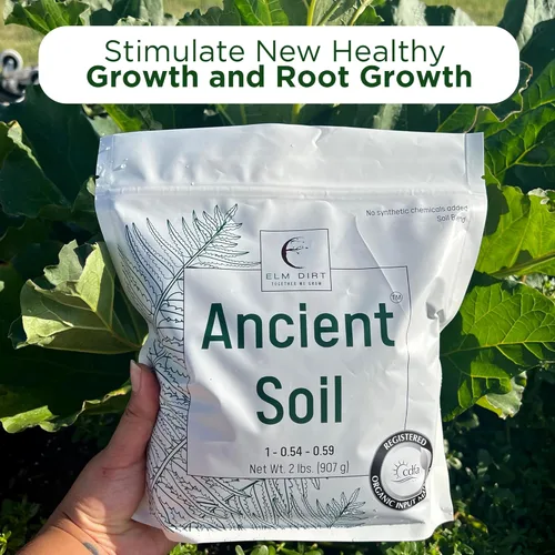 Miniatura 5 de Elm Dirt Suelo antiguo prémium para todas las plantas, suelo orgánico para plantas de exterior y suelo de plantas de interior, suelo de jardín