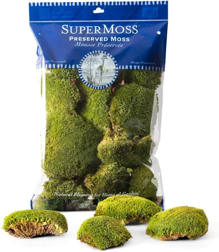 SuperMoss (21890) Topa Moss Preserved - Decoración ecológica para el hogar y la pared para terrarios, mesas de boda, macetas de interior y más, 200