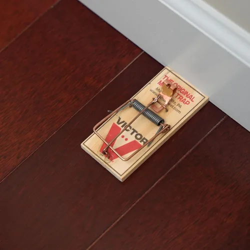 Miniatura 10 de Trampas para ratones Victor M150-12, pedal de metal, madera FSC de origen sostenible, trampas para ratones de madera - Paquete de 12