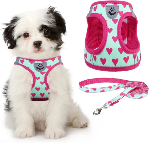 Miniatura 28 de Arnés de malla suave para cachorros – Juego de arnés y correa para perros pequeños, ajustable y cómodo chaleco reflectante acolchado para cachorros