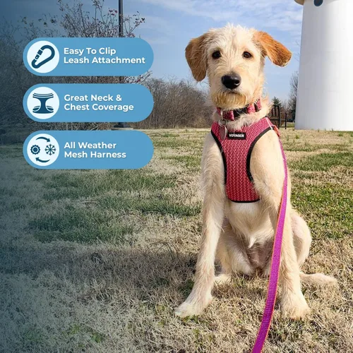 Miniatura 197 de Best Pet Supplies Voyager Step-in Air - Arnés para mascotas, malla para todo tipo de clima, reflectante, arnés sin tirón para perros y gatos - Arnés