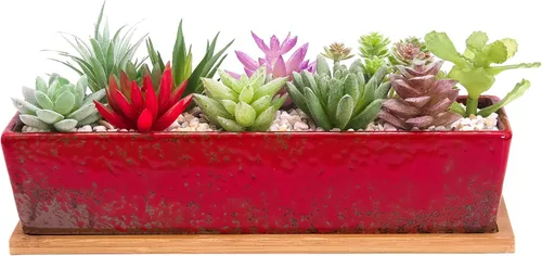 Miniatura 8 de ARTKETTY Macetas de suculentas - Macetas grandes para suculentas con drenaje, maceta de bonsái rectangular larga de 12 pulgadas con bandeja