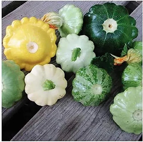 Miniatura 2 de Semillas de calabaza dulce de albóndigas - Aproximadamente 30 semillas