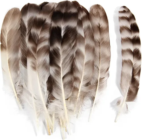 Miniatura 11 de THARAHT 24 plumas naturales manchadas de 4 estilos de plumas de ave de Guinea de 6 a 8 pulgadas a granel para manualidades, ropa, joyería