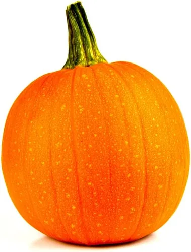 Miniatura 4 de Pastel de calabaza y azúcar (30 semillas)