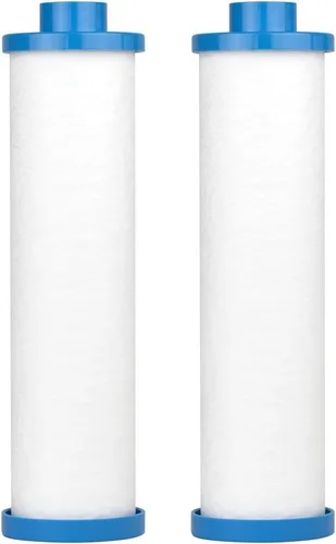 Clear Choice - Filtro de spa para piscina de 2.75 pulgadas de diámetro x 10.00 pulgadas, cartucho de repuesto para prefiltro de sedimentos Baleen