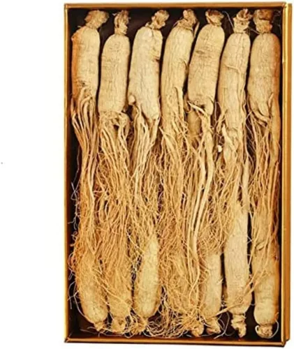 Ginseng entero orgánico orgánico natural puro Ginseng blanco de montaña Ginseng seco Ginseng secado al sol, 20-26 raíces/17.64 oz, 17.64 oz/caja.
