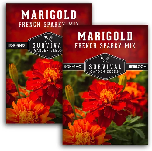 Miniatura 10 de Semillas de caléndula chispeante francesa para plantar, planta y cultiva flores de pátula roja y naranja en tu huerto casero, reliquia sin OMG