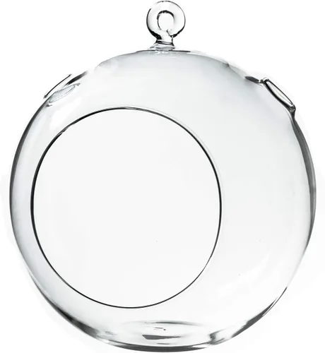 Miniatura 15 de WGV Globo de terrario colgante, ancho 5 pulgadas, altura 6 pulgadas, maceta de aire para suculentas, florero de vidrio transparente con parte