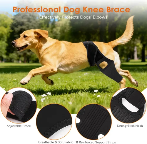 Miniatura 5 de Jorme Rodillera para perro para pierna trasera desgarrada del ligamento cruzado anterior, de neopreno transpirable con velcro ajustable y banda