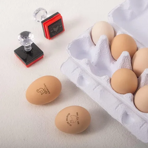 Miniatura 5 de Sellos de huevos personalizados para huevos frescos, personaliza tus huevos frescos de granja con sello de huevo personalizado, fácil de usar