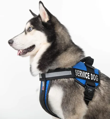 Miniatura 6 de DogLine Parches De Velcro desmontable "Servicio perro etiquetas, Service Dog