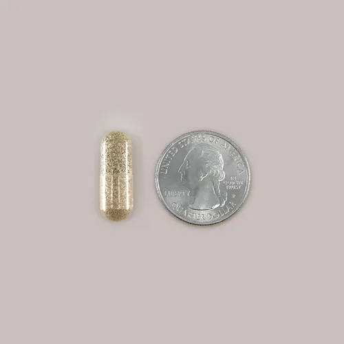 Miniatura 4 de Nugenix Essentials DIM Suplemento 305 mg de diindolilmetano y bioperina para el equilibrio hormonal, 90 cápsulas