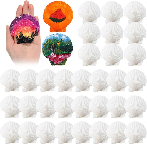 GlikCeil 50 piezas de conchas marinas para manualidades, conchas de ostras blancas de vieira grandes naturales a granel para decorar el hogar,