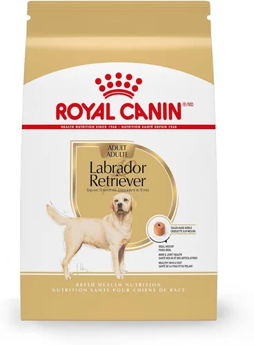 Royal Canin Breed Health Nutrition Labrador Retriever - Alimento seco para perros adultos, bolsa de 5 libras