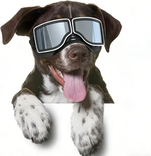 Miniatura 9 de Gafas de sol para perros de razas grandes, juego de 2 piezas de protección UV negra y transparente, resistente al viento para perros medianos a