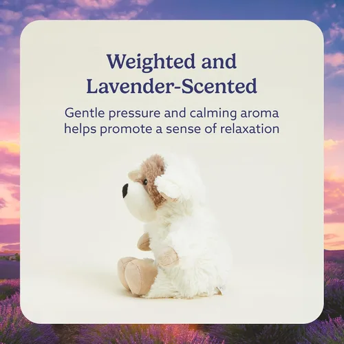 Miniatura 3 de Oso de peluche apto para microondas, cálido, de Intelex