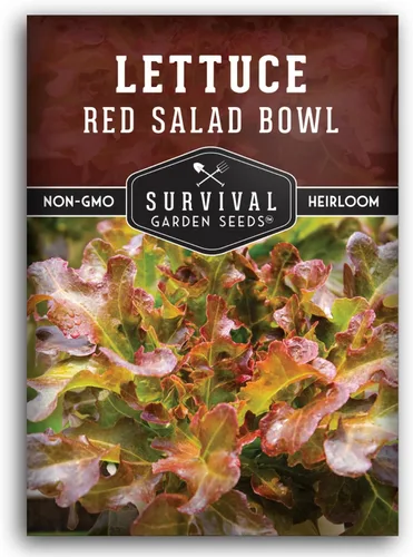 Semillas de lechuga roja para plantar, 1 paquete con instrucciones para plantar y cultivar lechuga de hoja suelta en tu huerto casero, variedad de