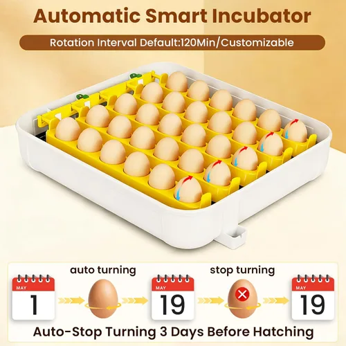 Miniatura 6 de Incubadoras para incubar huevos, incubadora de huevos de gallina con giro automático de huevos, fuente de alimentación doble, vela de huevos