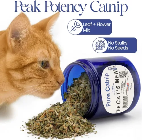 Miniatura 2 de The Cat's MeWow Hierba gatera 100% pura, cultivada en América del Norte, aroma fuerte para jugar y enriquecer, tarro de frescura resellable