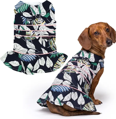 Miniatura 37 de Parisian Pet Chambray - Vestido para perro - Ligero sin mangas para perro, niña, talla XS Chambray en general