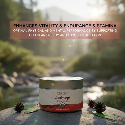 Miniatura 2 de Cordyceps Cápsulas de alta potencia 30% beta-glucanos 120 cápsulas veganas 60 porciones Apoya la vitalidad y resistencia Certificado