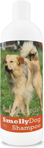 Miniatura 182 de Healthy Breeds Chow Chow - Champú de bicarbonato de sodio para perros malolientes, 8 onzas