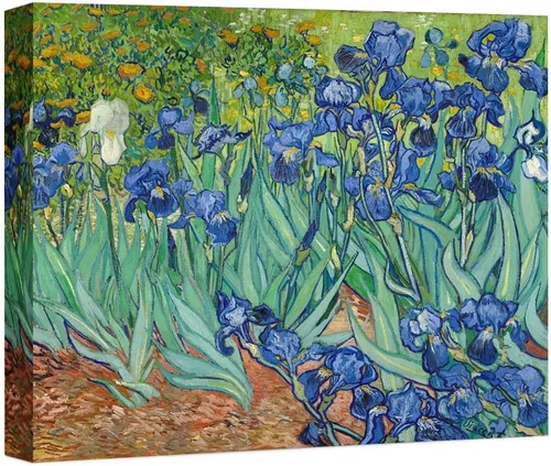 Miniatura 48 de ELITEART -Noche estrellada sobre el ródano por Vincent Van Gogh Giclée Art Canvas Prints- Tamaño del marco: 28 x 35 pulgadas