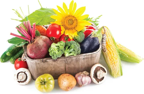 Miniatura 6 de Jobe's Organics Fertilizante granular multiusos, fertilizante de fácil cuidado de plantas para verduras, flores, arbustos, árboles y plantas, bolsa
